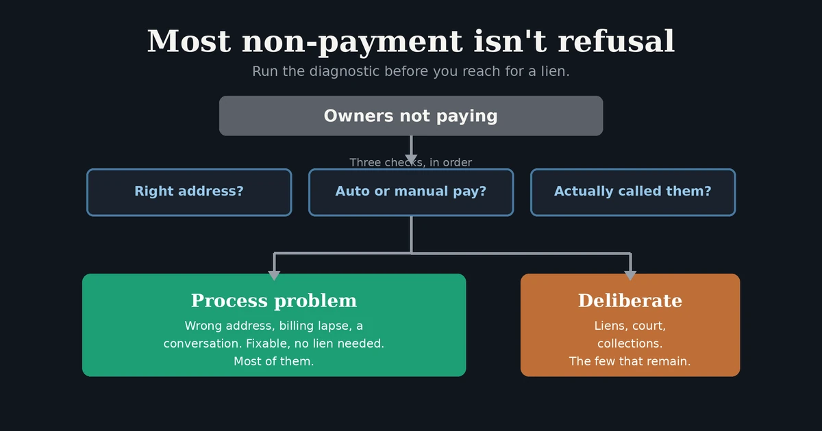 Diagnostic flow showing that owners not paying HOA assessments are sorted by three checks (correct address, auto versus manual billing, and a direct call) into a large group of fixable process problems and a small group of deliberate non-payers who warrant liens or court.
