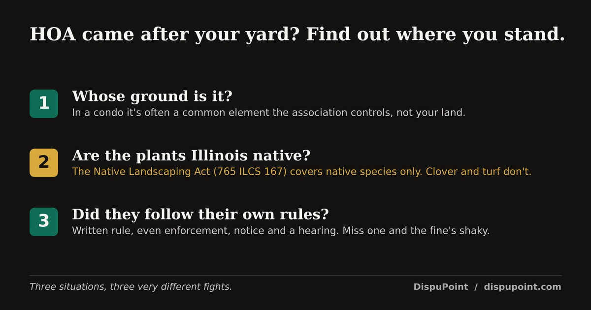 Three-question checklist titled HOA came after your yard, find out where you stand: whose ground is it, with a note that in a condo it is often a common element the association controls; are the plants Illinois native, with a note that the Native Landscaping Act, 765 ILCS 167, covers native species only and not clover or turf; and did they follow their own rules, meaning a written rule, even enforcement, and notice and a hearing. The native-plant question is highlighted.