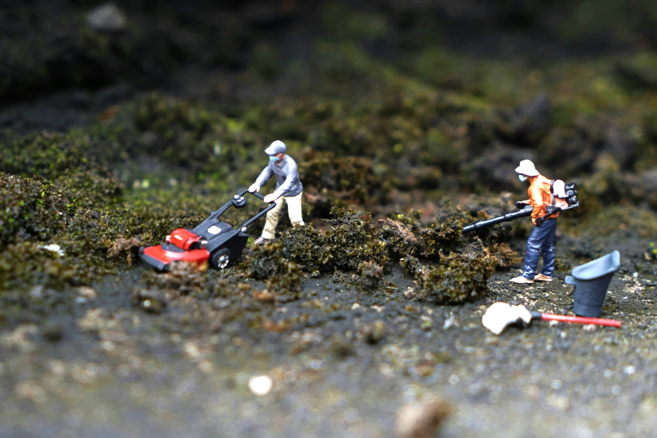 Miniature lanscapers